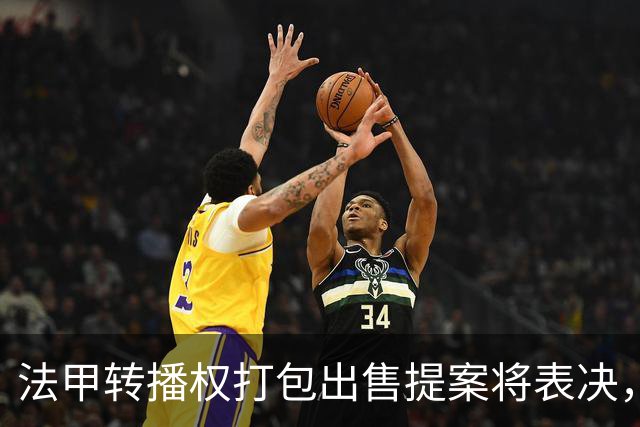 法甲转播权打包出售提案将表决，自营平台年入不足9000万欧